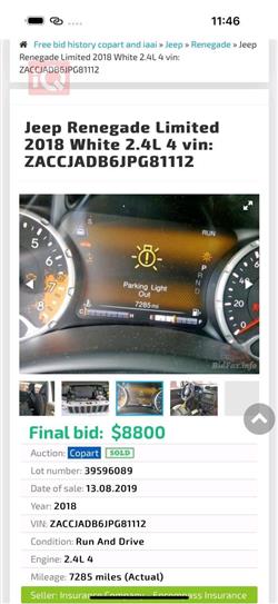 جيب رينيجيد